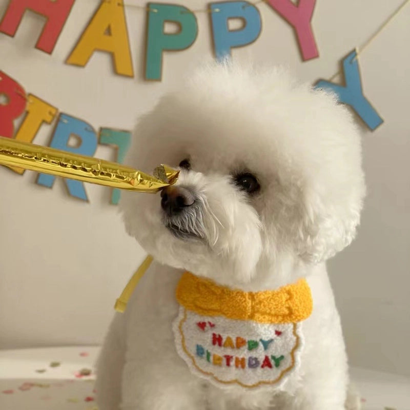 Dog Dog Party Birthday Hat Bib Dog Cat Pet Slippery Bag Slippery Towel Bichon Pet