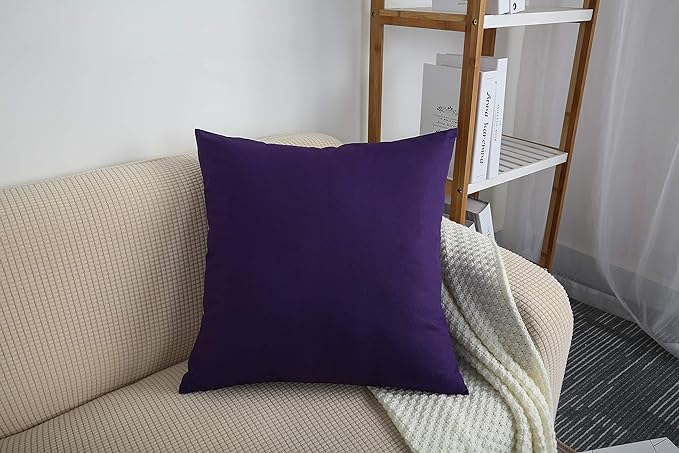 Plum-Cushion Covers Pack of Two