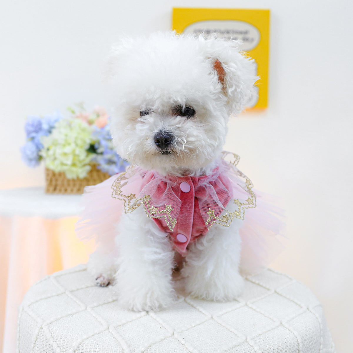 Crown Star Lace Dog Cat Princess Dress