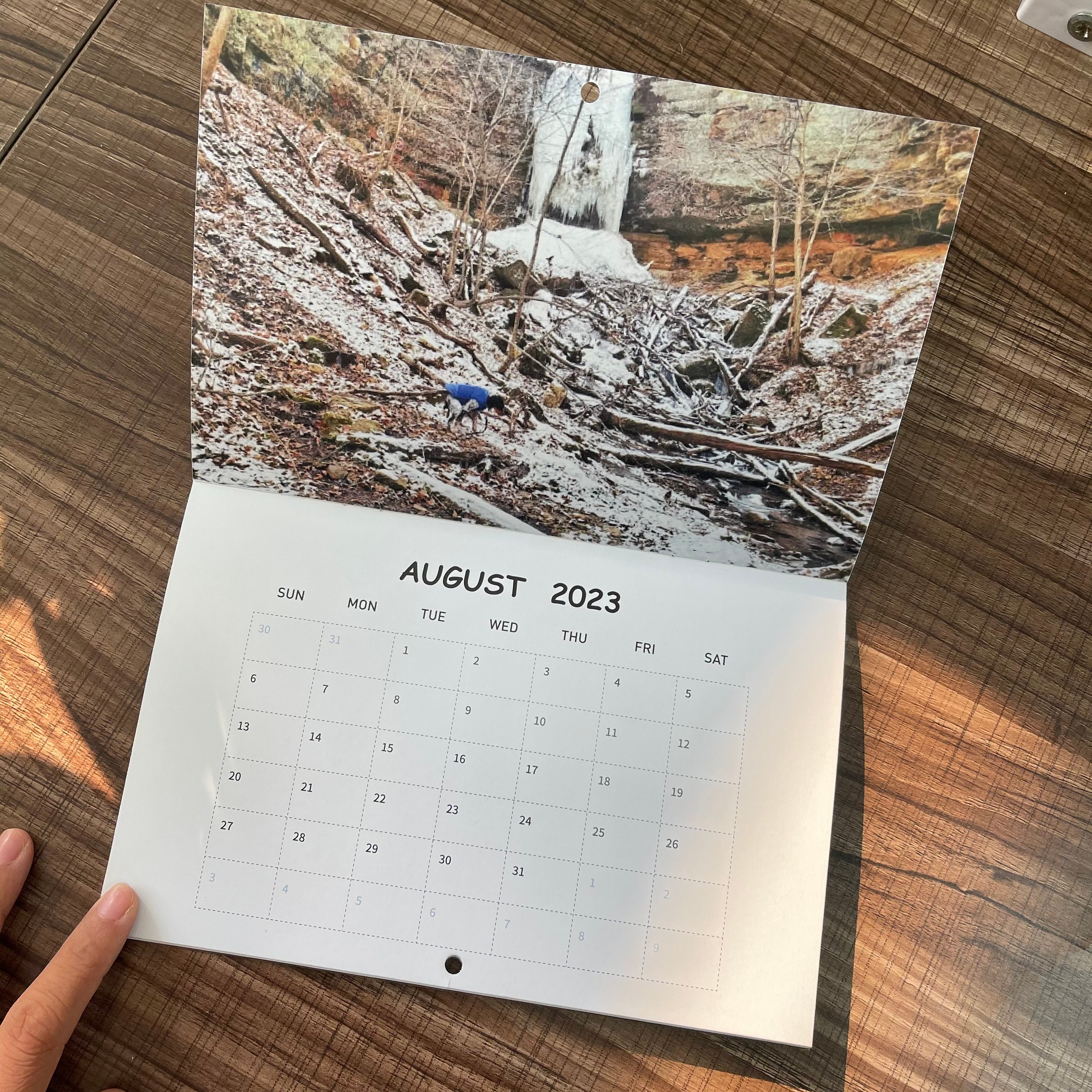 Funny Calendar Gift - Dog Poop Calendar