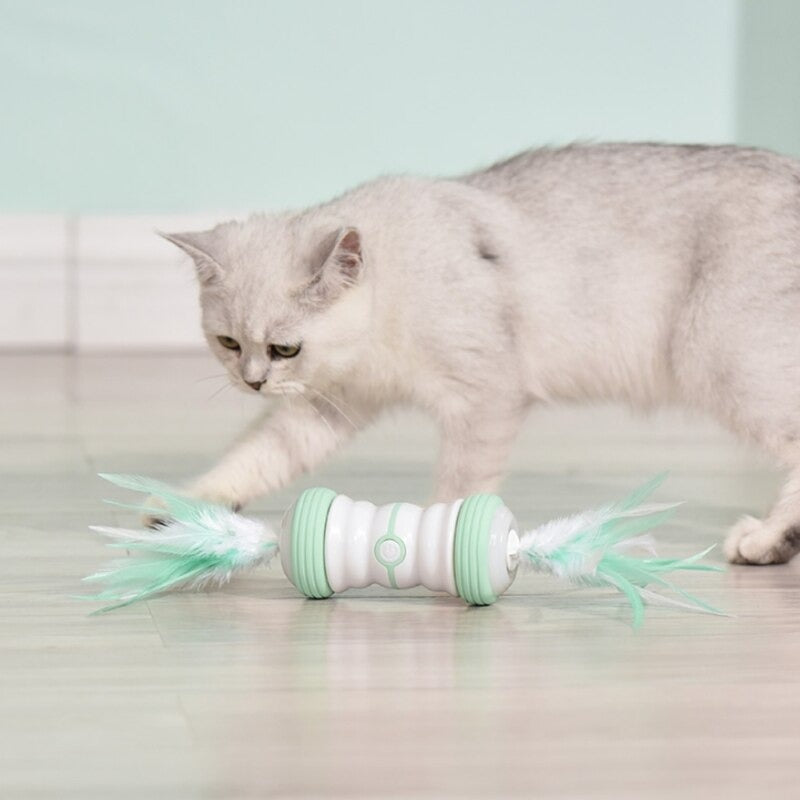 Automatic Feather Cat Toy