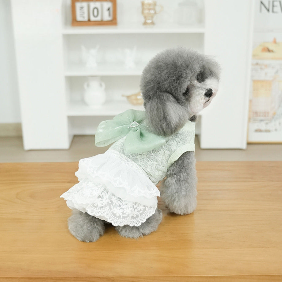 Sweet Lace Design Bow Dog Cat Dress