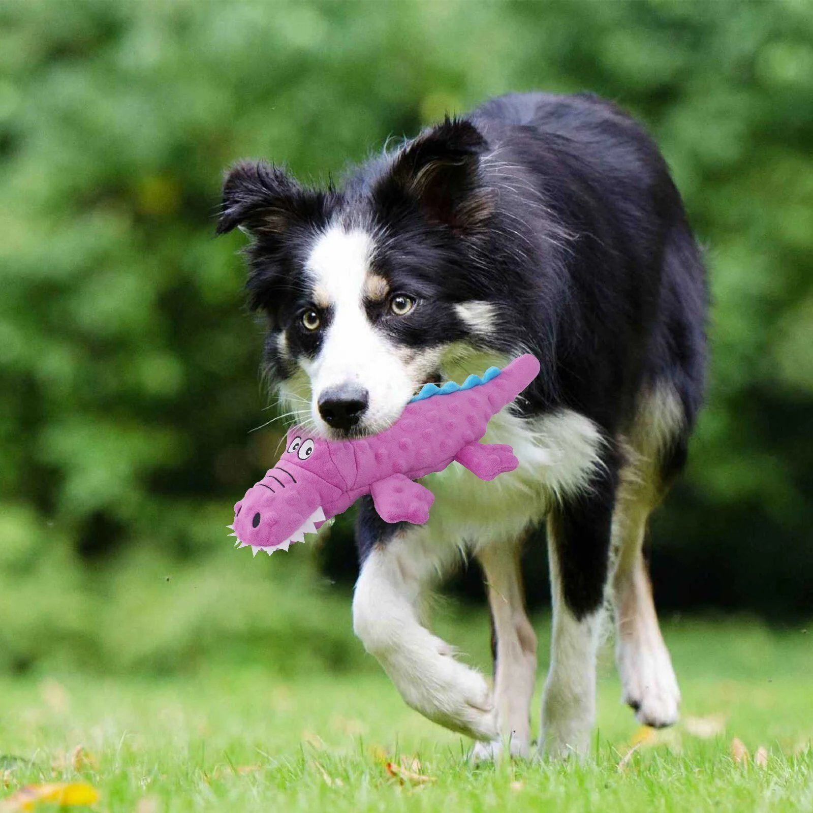 🎉Squeaky crocodile plush for aggressive chewers🐾