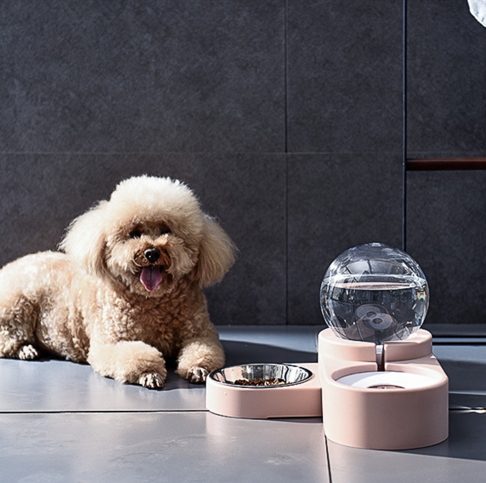 Spherical Double Cat and Small Dog Bowl With Automatic Water Refill