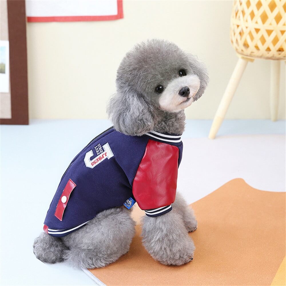 Trendy Dog Varsity Jacket - Stylish and Fun for Small Dogs