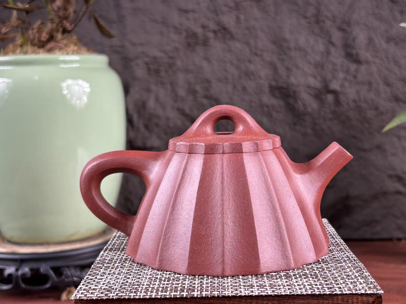 20250727-55-筋纹石瓢