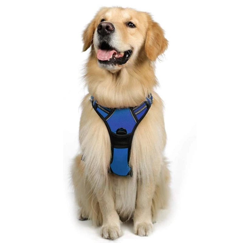 Minimalist Nylon Color Block Leash