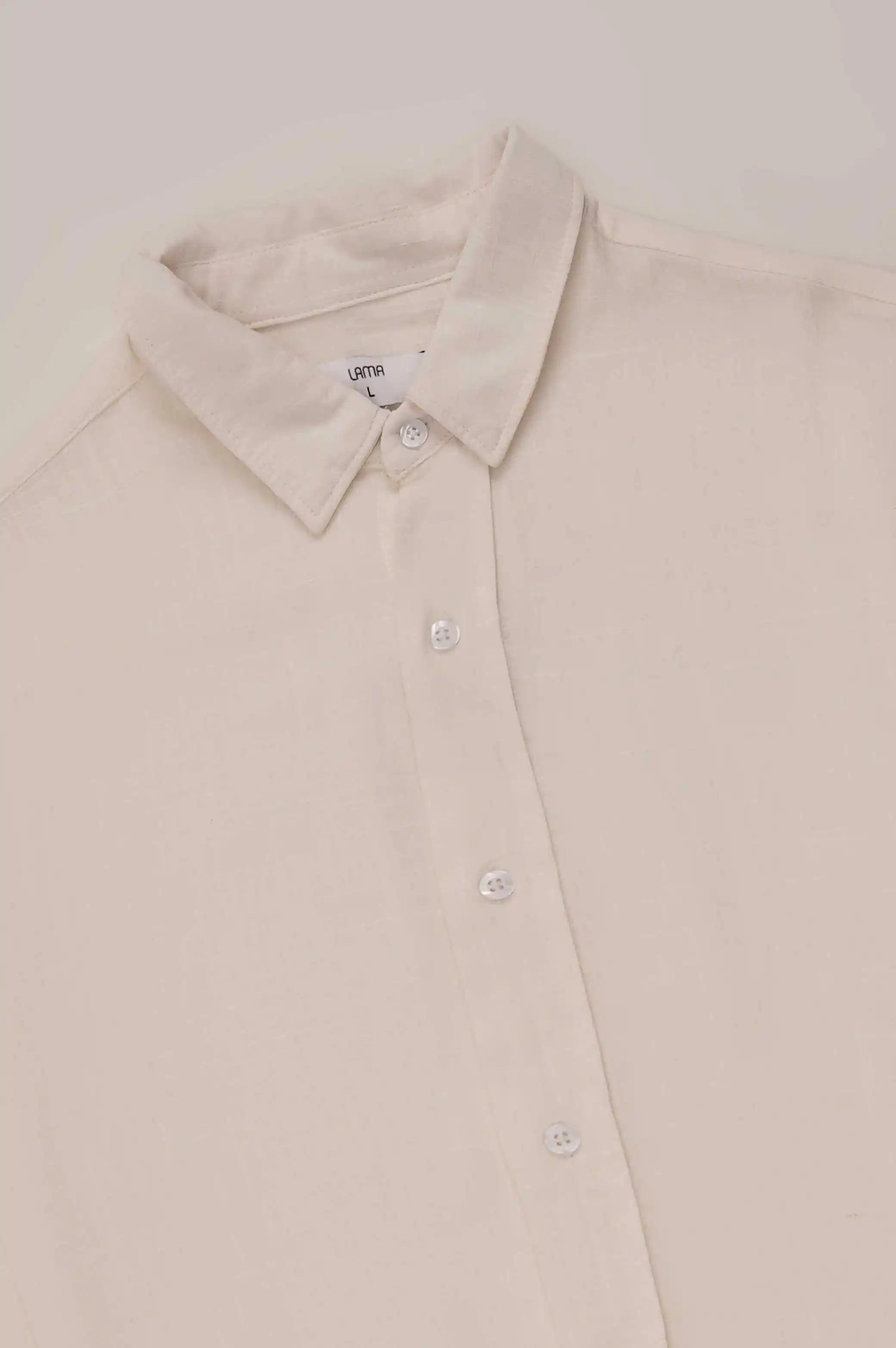 BASIC BUTTON DOWN SHIRT