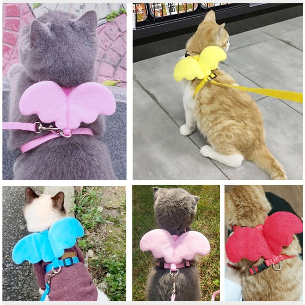 Angel Wing Dog Harness With Leash