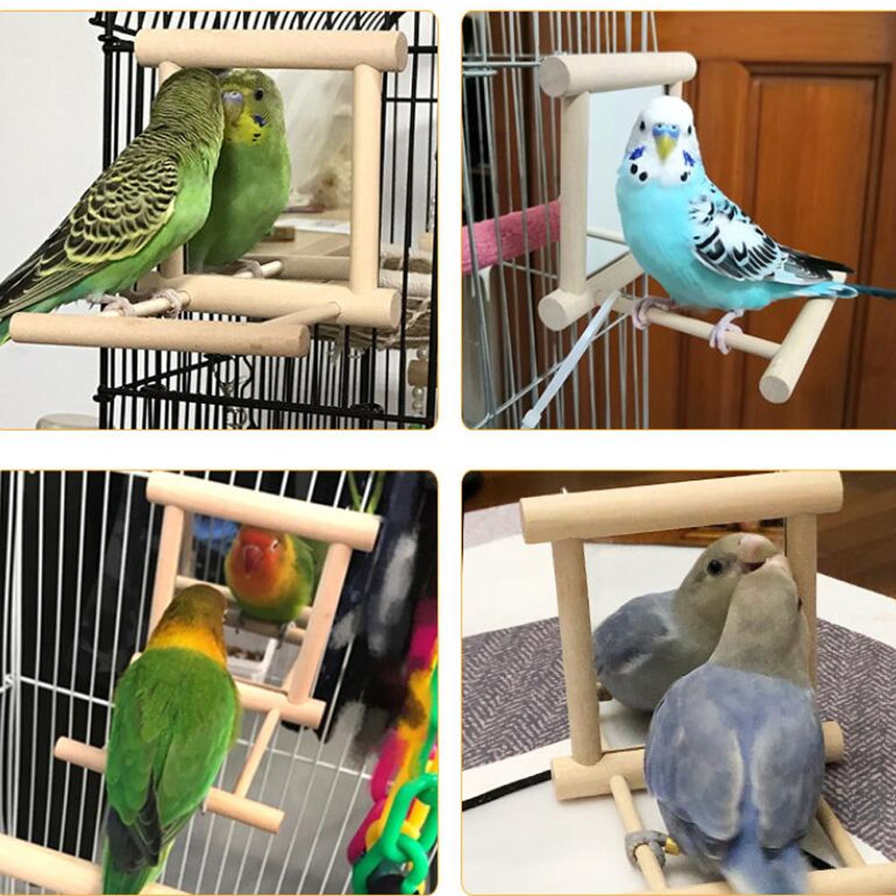 Bird Mirror with Wooden Hanging Toy