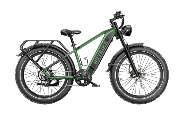 Heybike Brawn Adult Electric Bike, 750W 28MPH 26 Inch, Off-Road Electric Mountain Bike