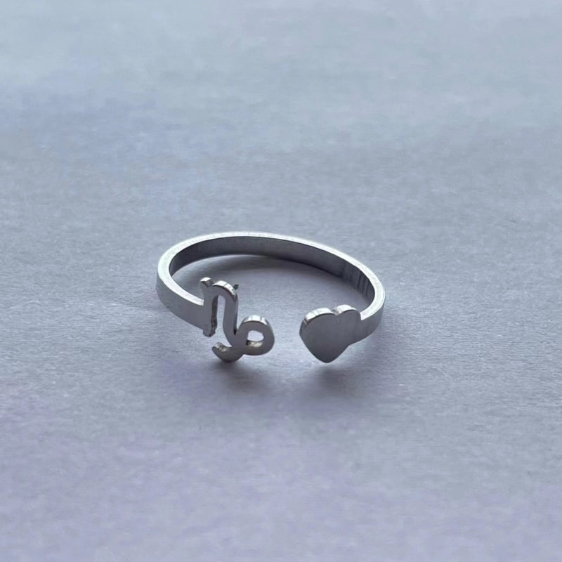 Minimalist Twelve Constellation Stainless Steel Open Rings