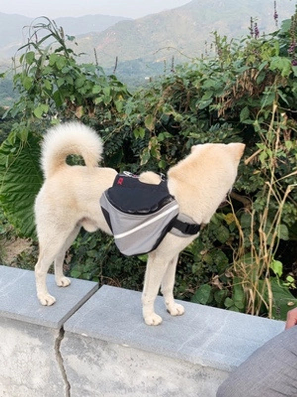 Pet Self-backpack Pack New Dog Outdoor Bag Dog Outgoing Self-backpack Dog Supplies Exclusive