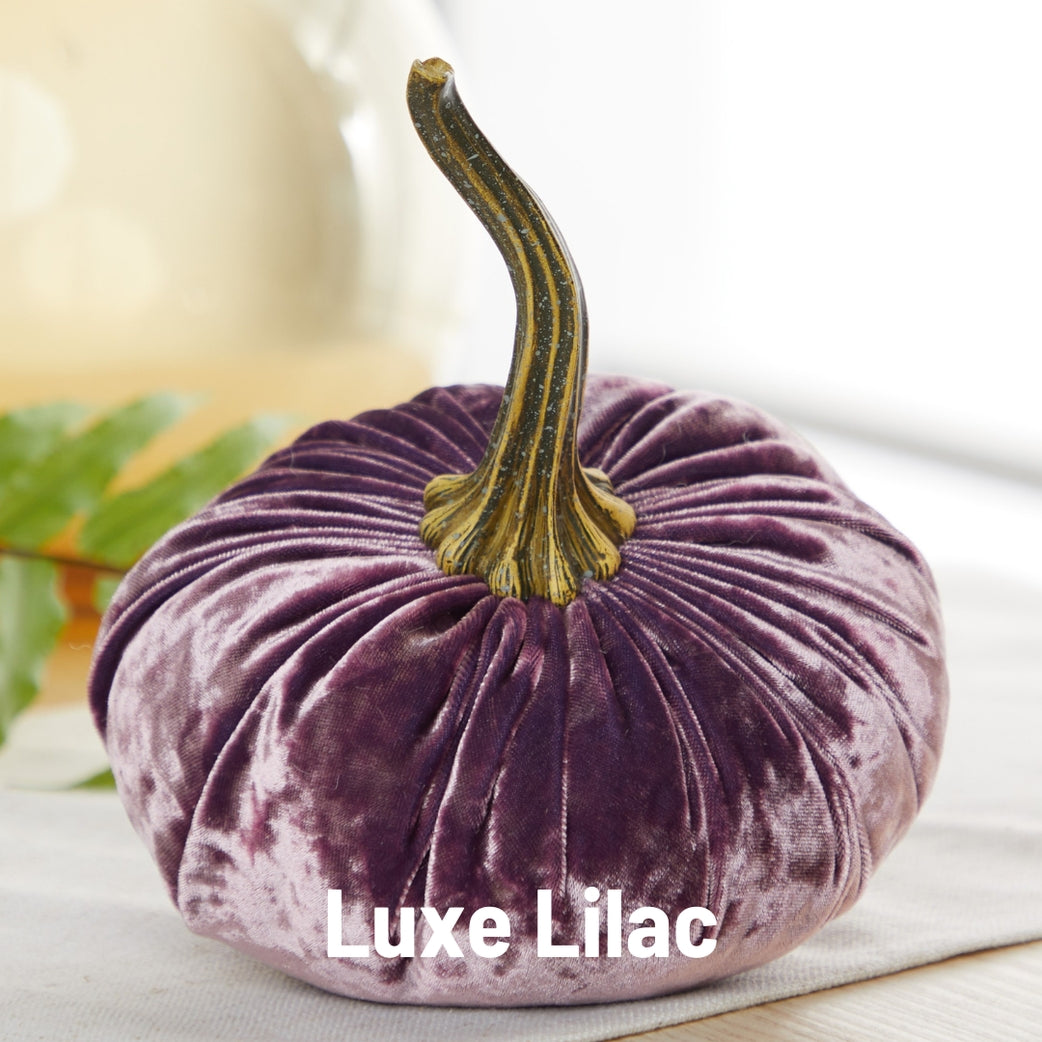 Velvet Pumpkin. Luxe Lilac