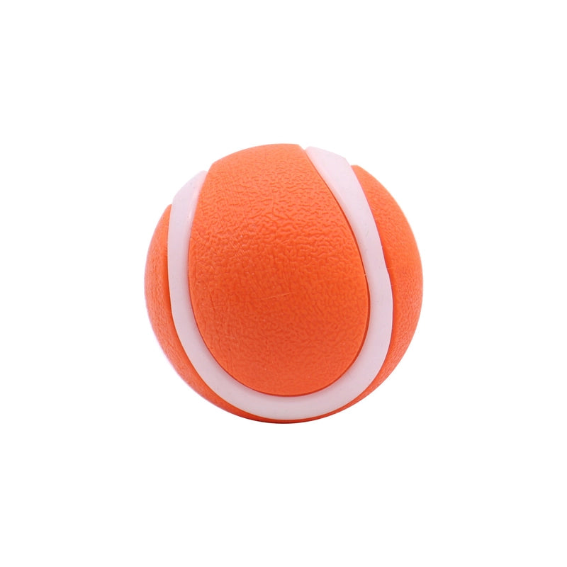 Minimalist Silica Gel Color Block Pet Toys