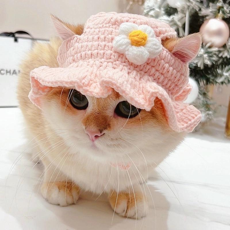 Cute Acrylic Cartoon Pet Hat