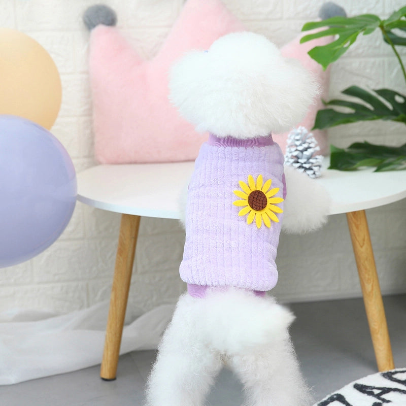 Pet Clothing Dog Clothes Autumn And Winter New Pet Clothes Two-Leg Fleece 21 Vertical Fleece Korean Style Fleece