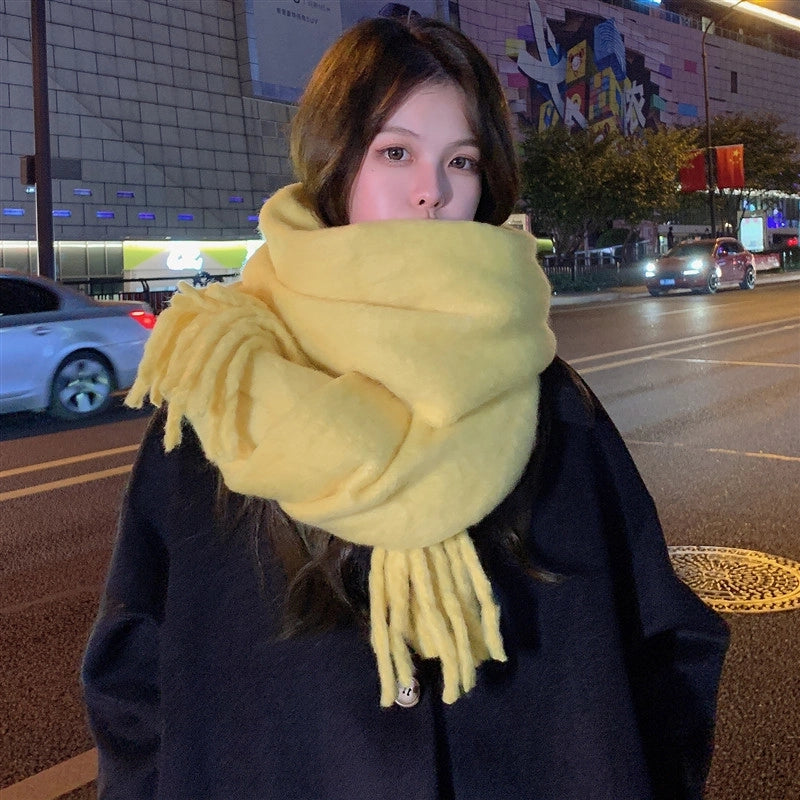 Women's Minimalist Classic Style Solid Color Imitation Cashmere Scarf