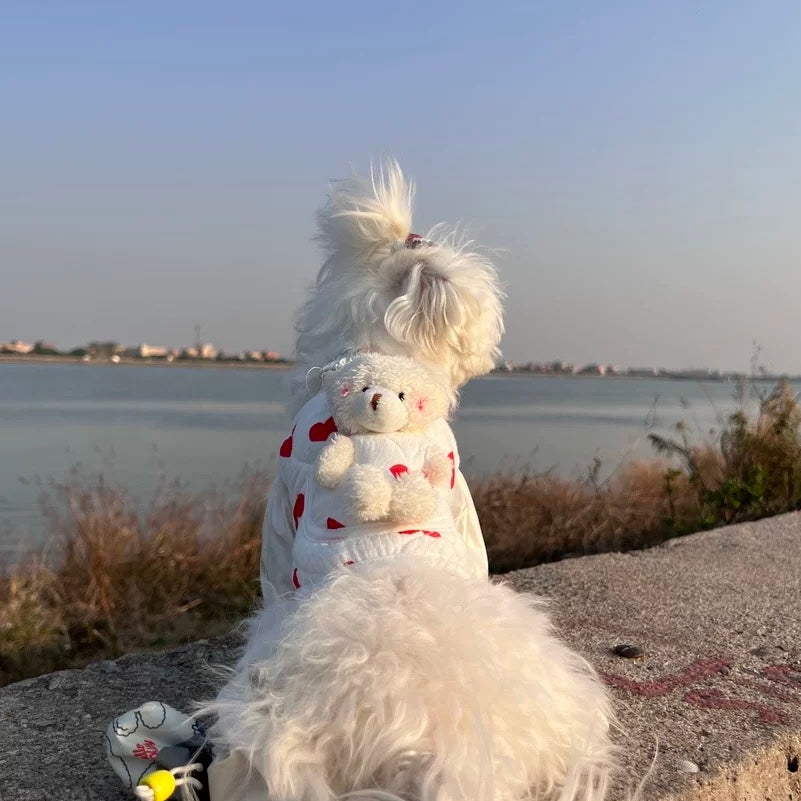 Heart Printed Bear Dog Cat Jacket Harness