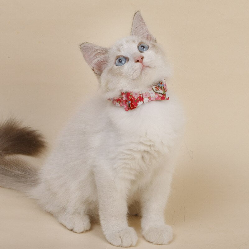 Cat Collar With Flowers