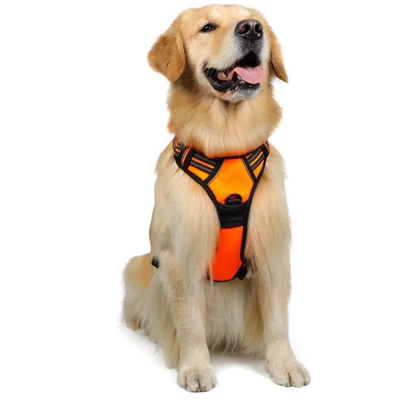 Minimalist Nylon Color Block Leash