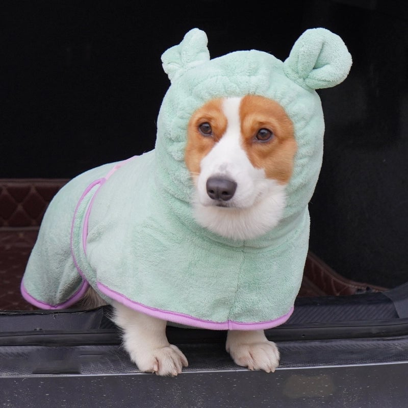 Pet It Cute Selling Cute Dog Bathrobe Small Dog Coral Fleece Warm Pet Clothes Winter New