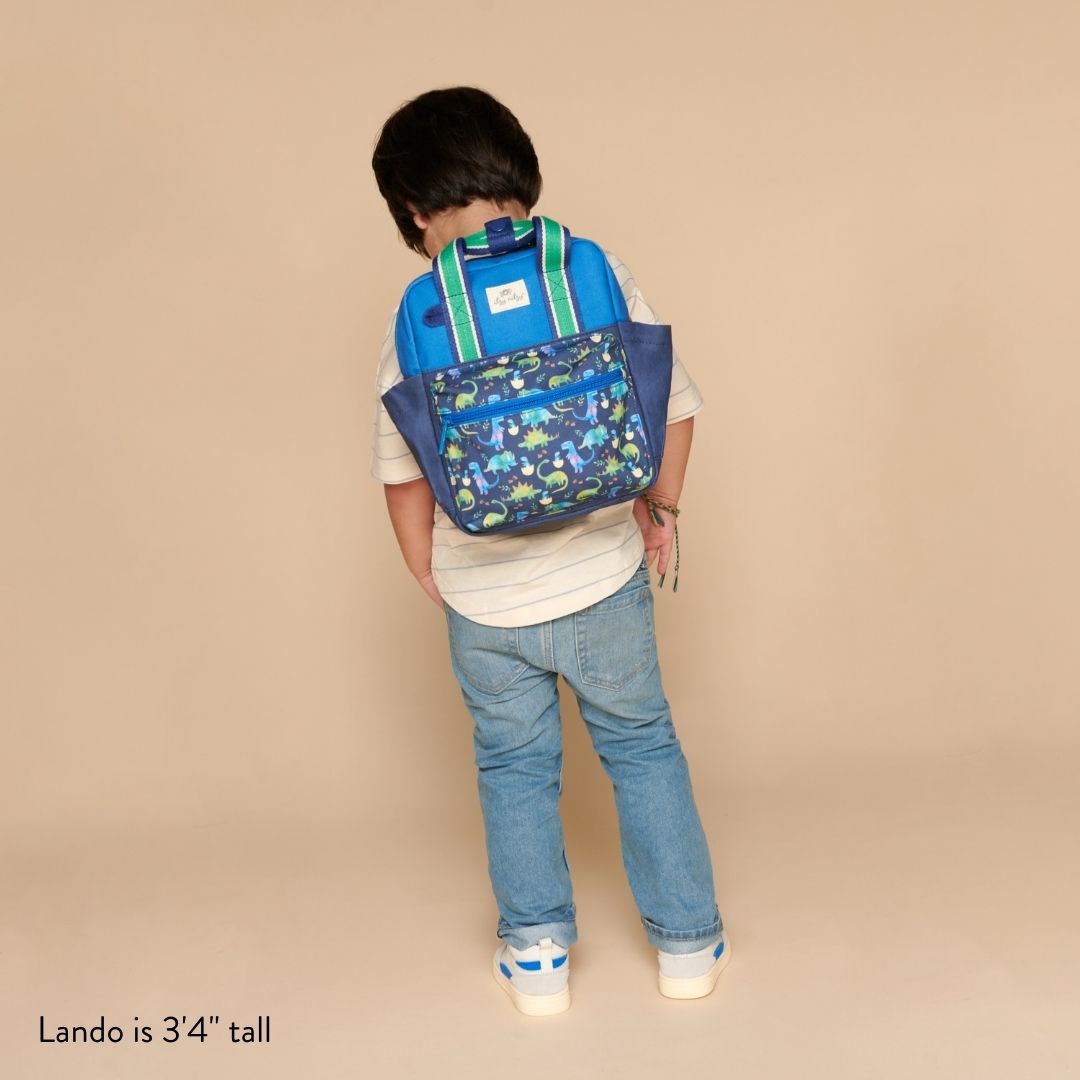 BagToddler Backpack