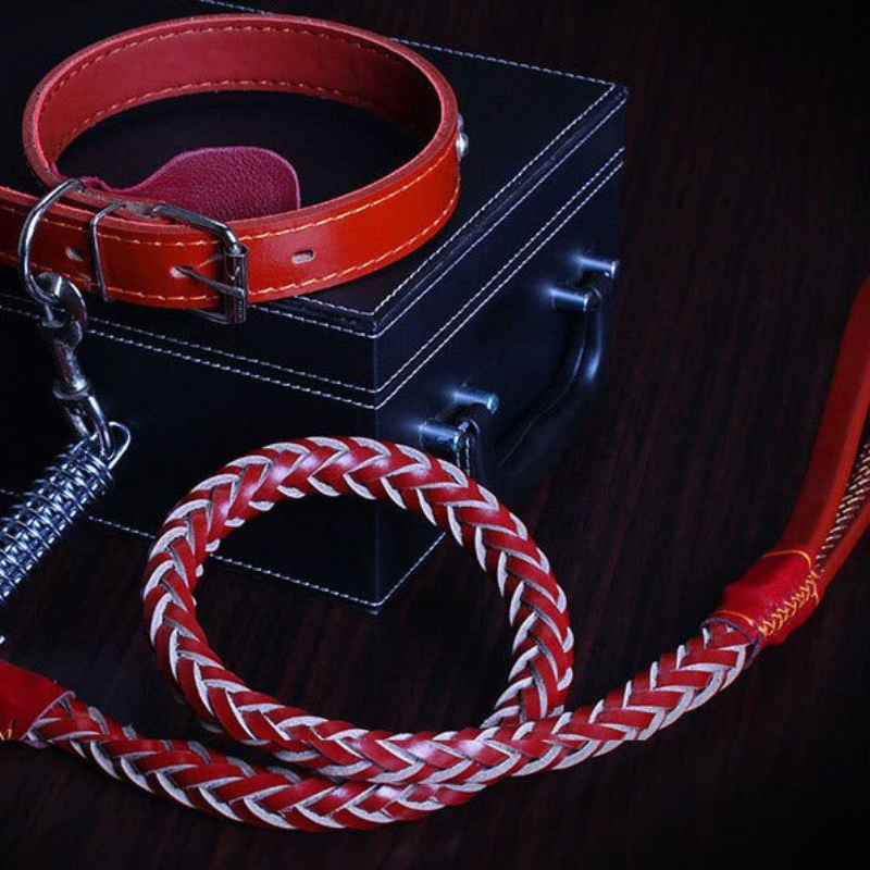 Leather Dog Collar And Leash
