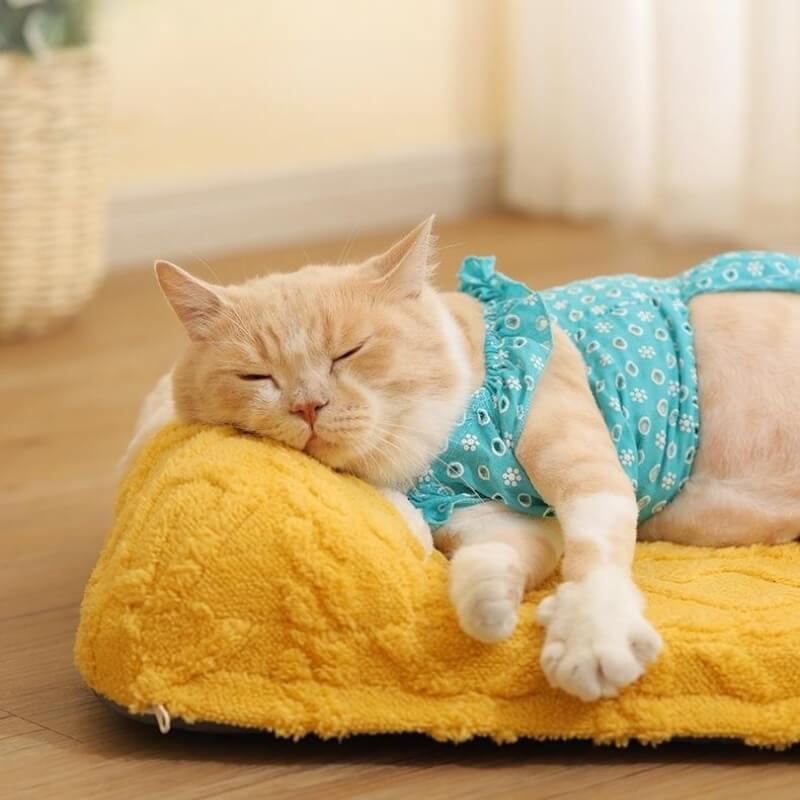 Cheese Cat Bed Fleece Jacquard Comfortable Dog Bed