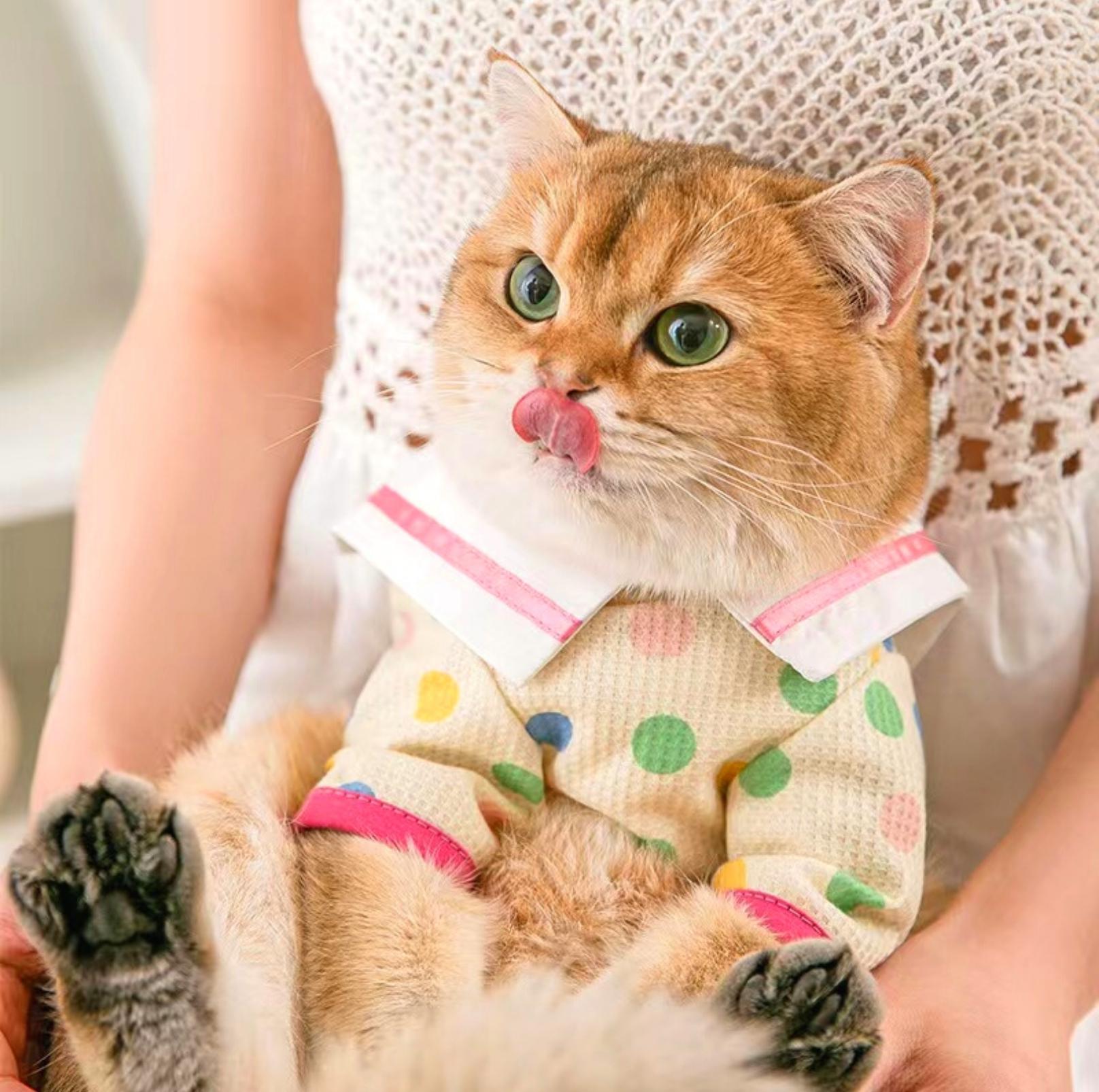 Charming Naval Collar Pet T-shirt with Colourful Dots