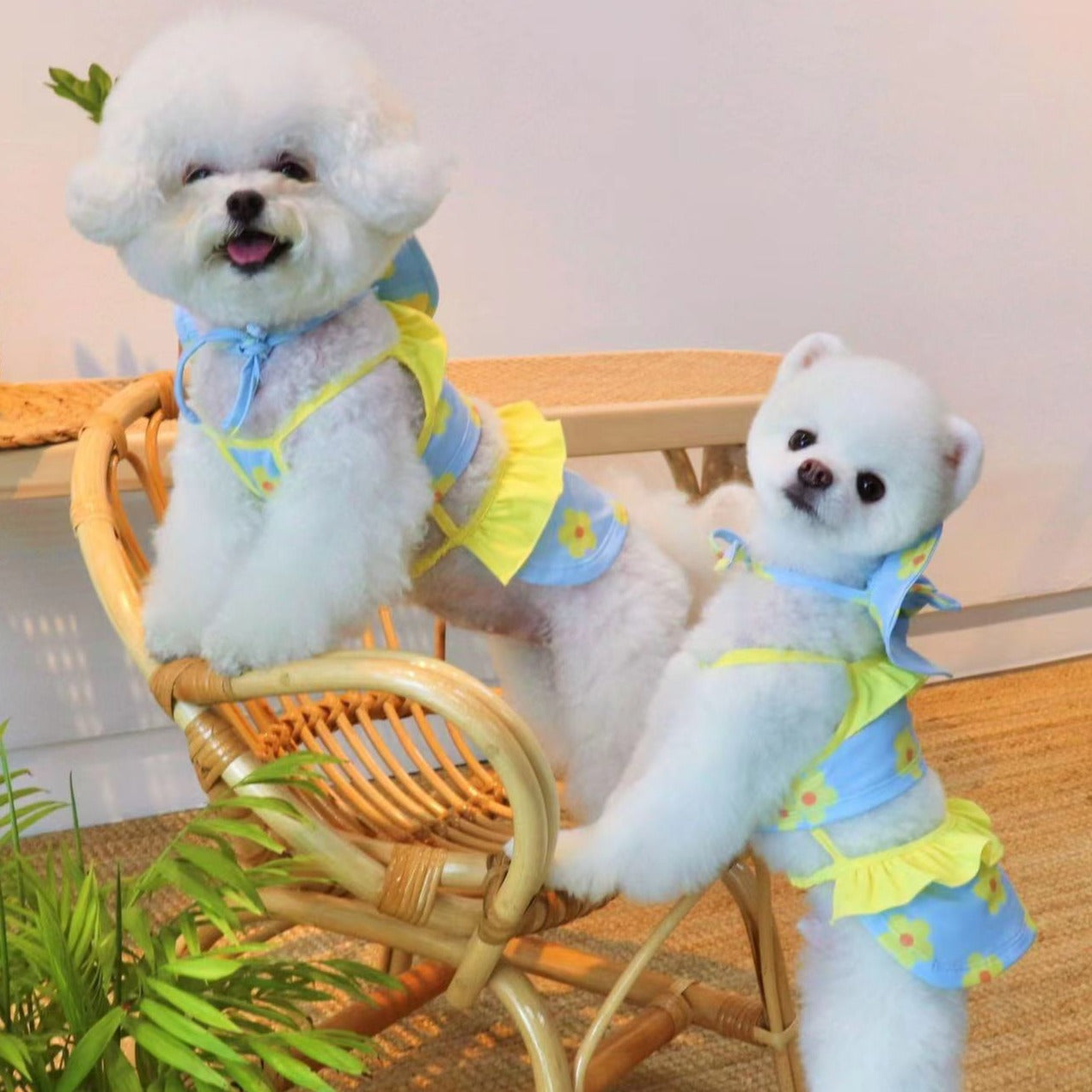 Summer Floral Dog Bikini with Hat