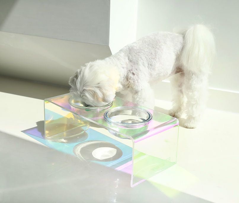 The Holographic Aurora Elevated Pet Feeding Table - Pre Order
