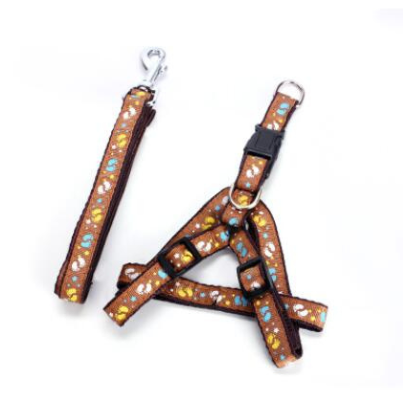Stylish Dog Harness And Leash Set