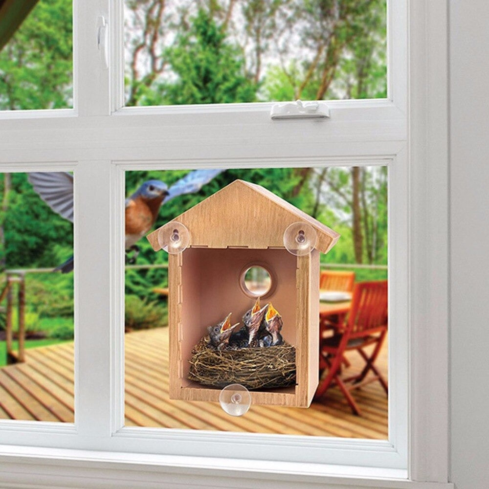 Transparent Bird House Swallow Bird Nest