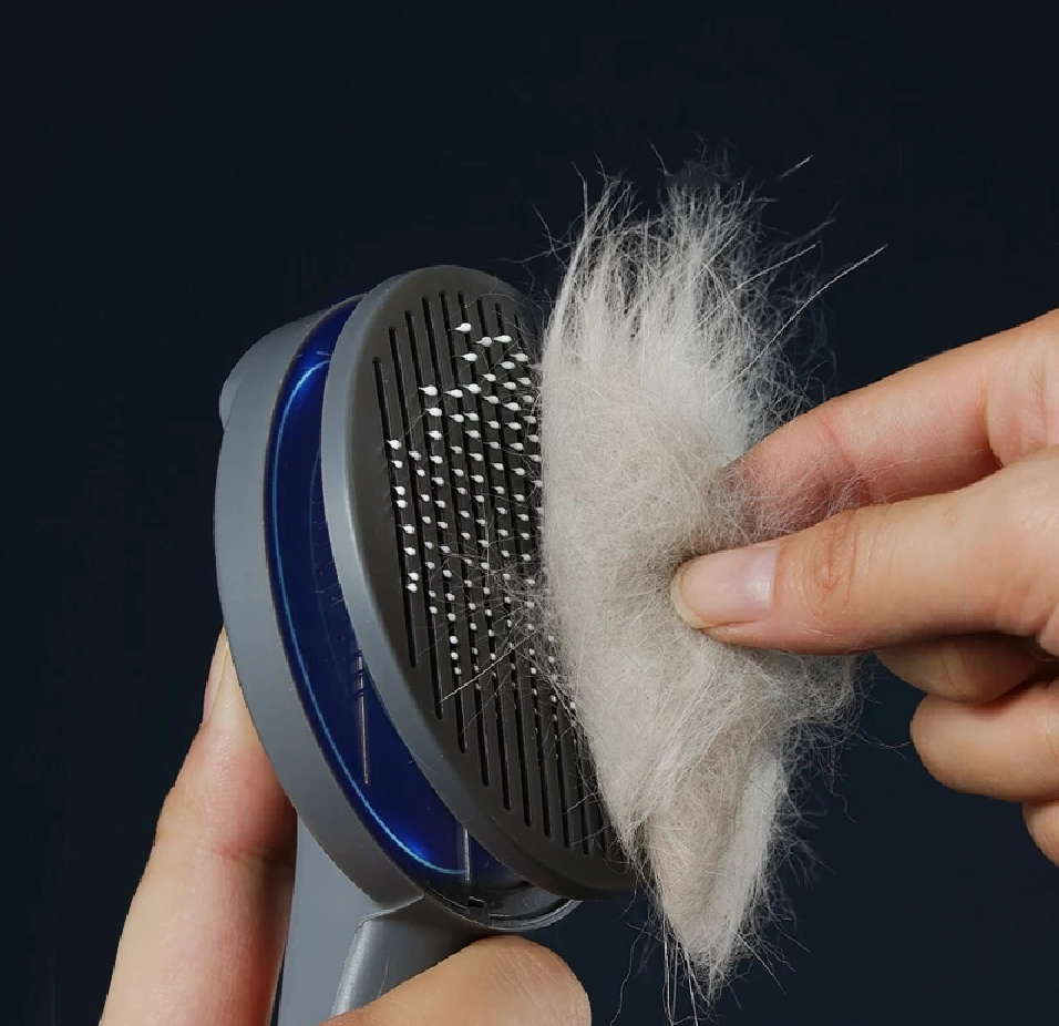 Cat Brush