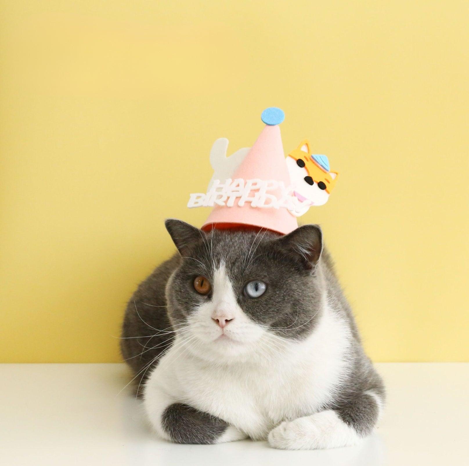 Animal Paw-ty Gear: Adorable Birthday Hat for Pets