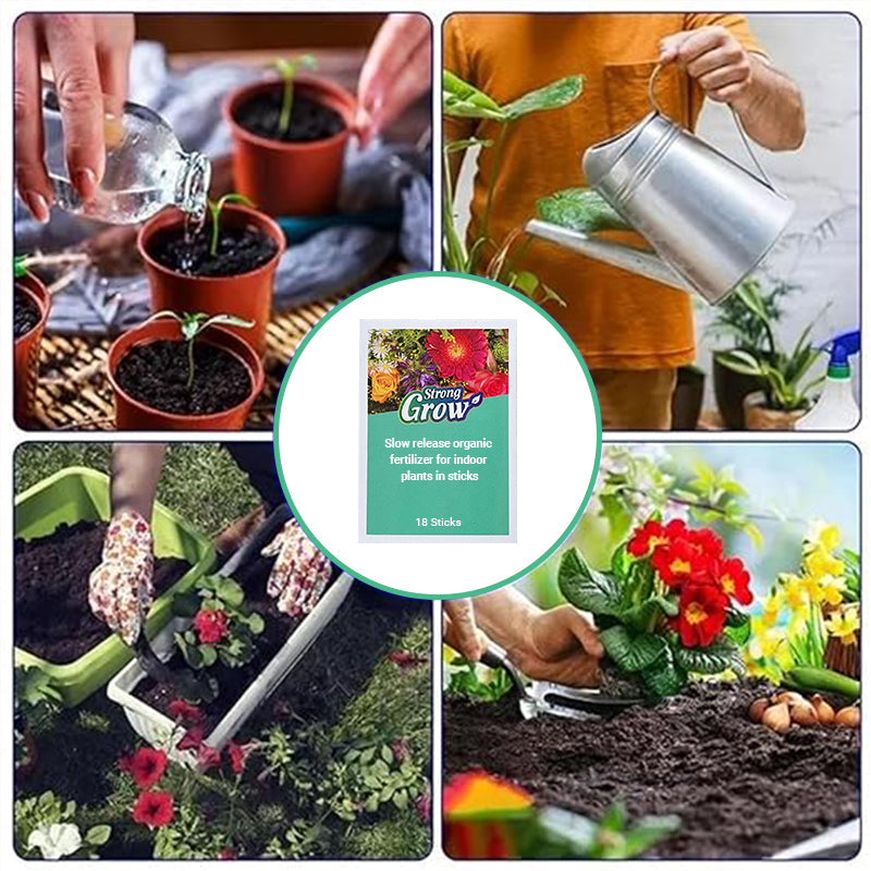 💥Last Day Promotion 49%OFF💥 Slow-Release Organic Fertilizer In Stick Form For Indoor PlantsBUY 5 GET 10 FREE