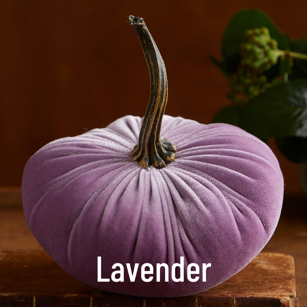 Velvet Pumpkin. Lavender