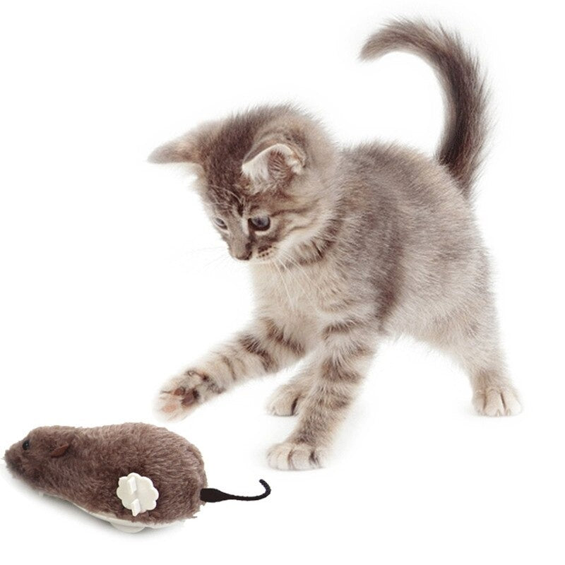 Plush Real Cat Toy