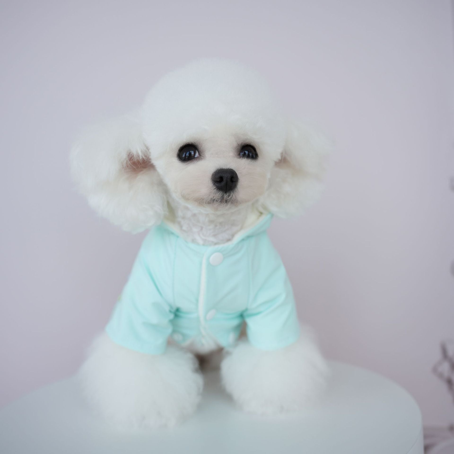 Warm Fleece Casual Dog Cat Hooded Jumpsuits