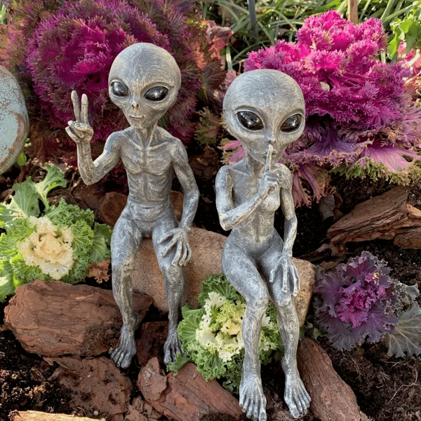 👽Outer Space Alien Dude and Babe Shelf Sitters