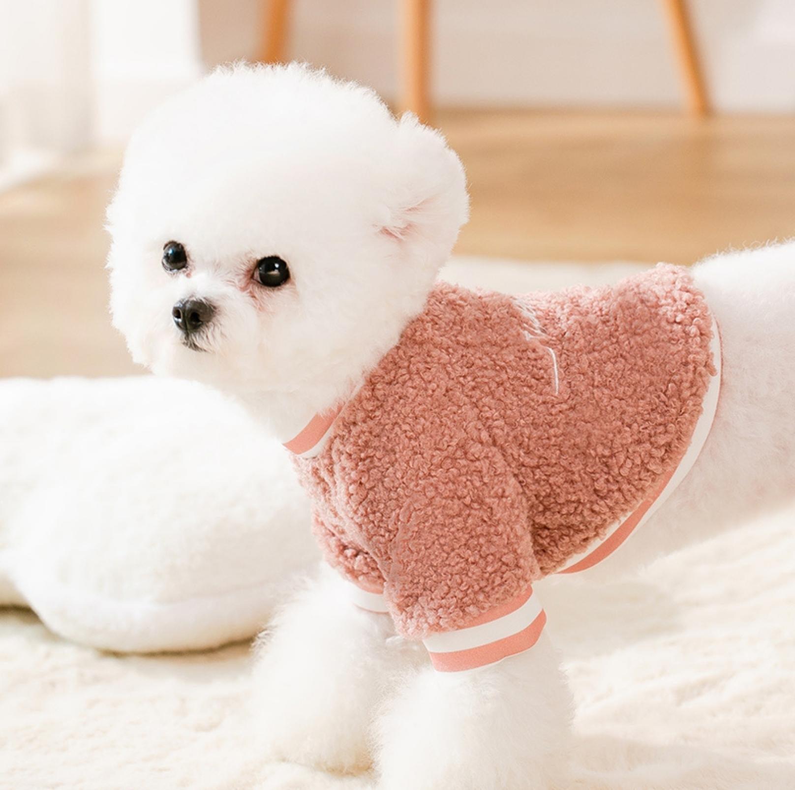Daisy-Embroidered Wool Fleece Apparel for Dogs and Cats