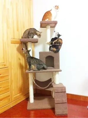 Climb & Scratch Cat Activity Center