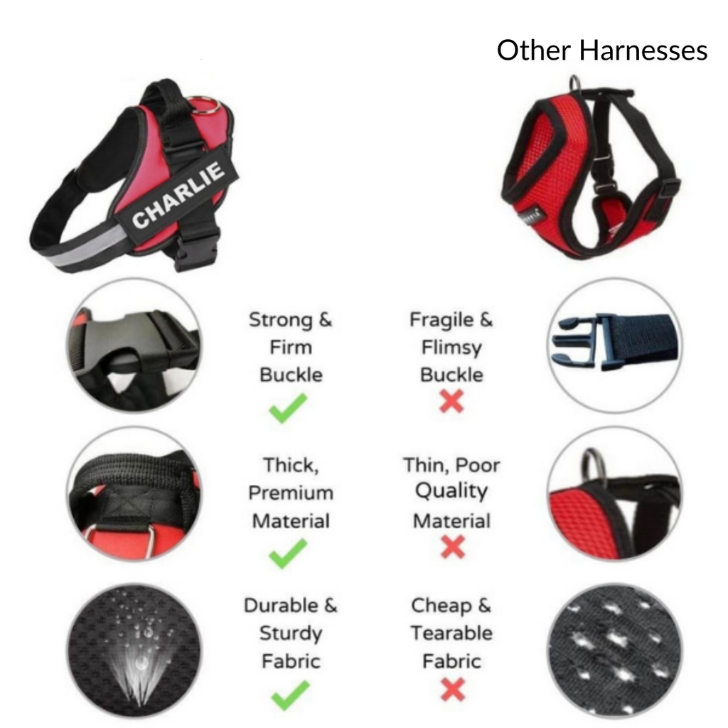 Custom No Pull Dog Harness with Name and Phone Number. Heavy Duty Personalized Pet Vest