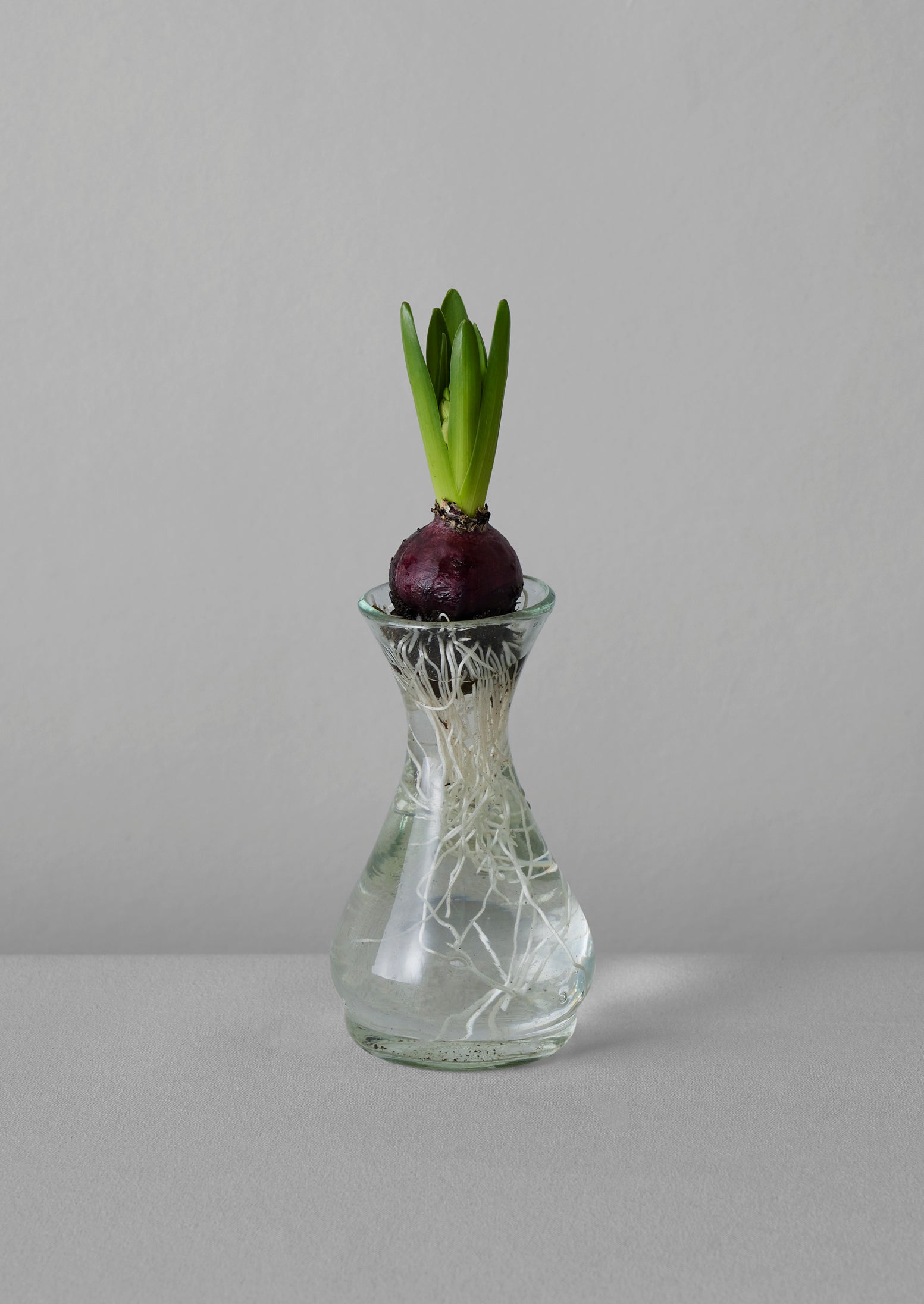 La Soufflerie Hand Blown Polonaise Vase | Clear