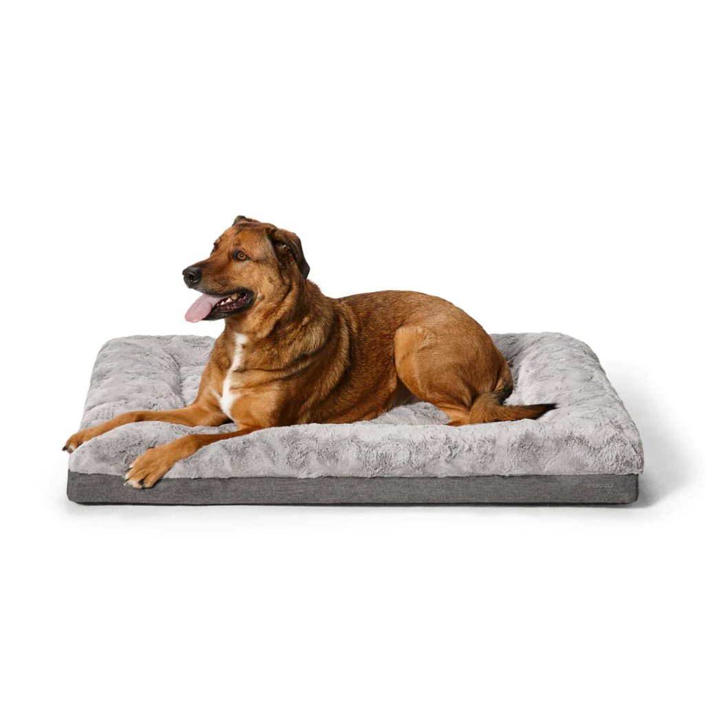 Snooza – Ultra Comfort Dog Lounge