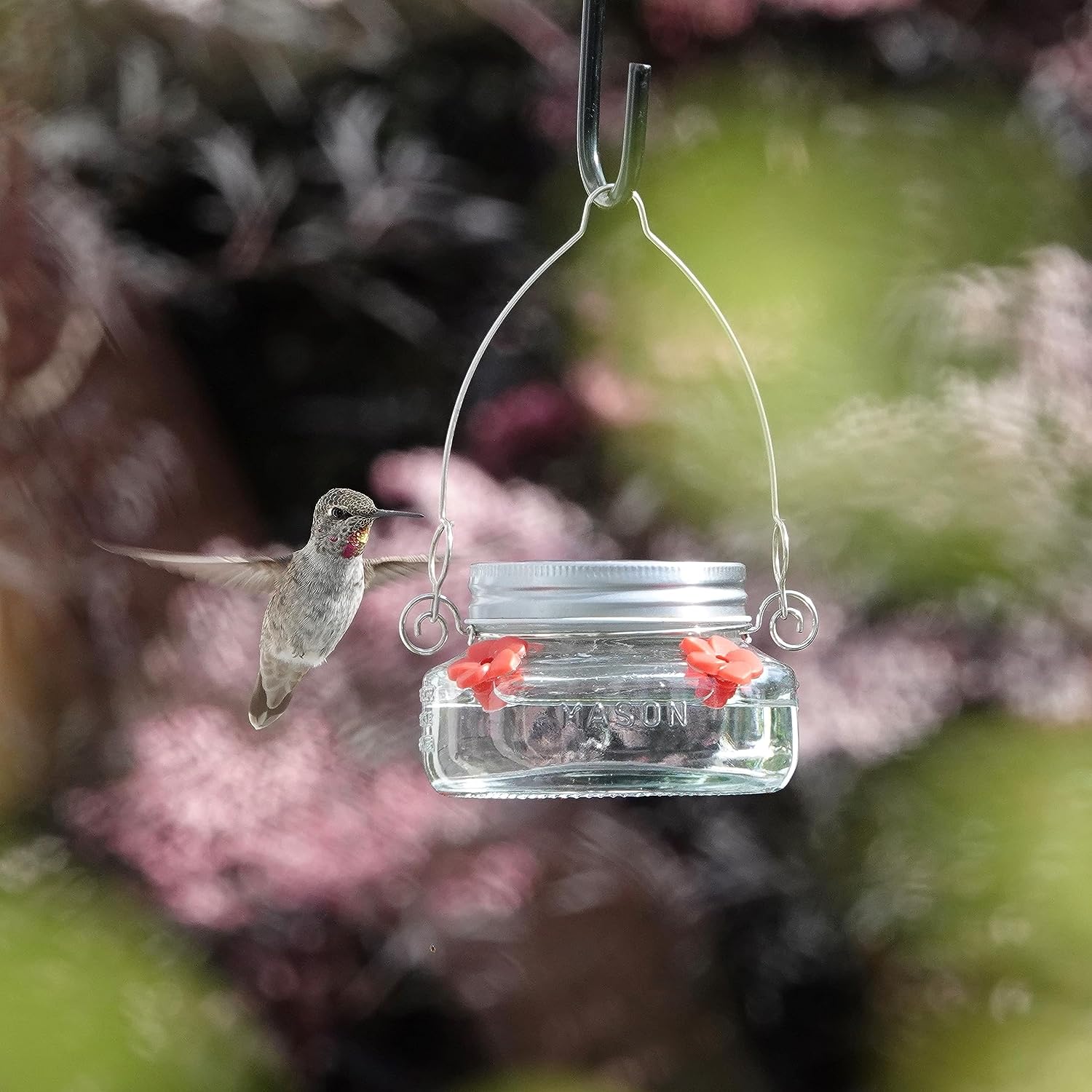 🎉   Promotion-49% OFF 🎉 Beautiful Mason Jar Hummingbird Feeder W/ Four Ports