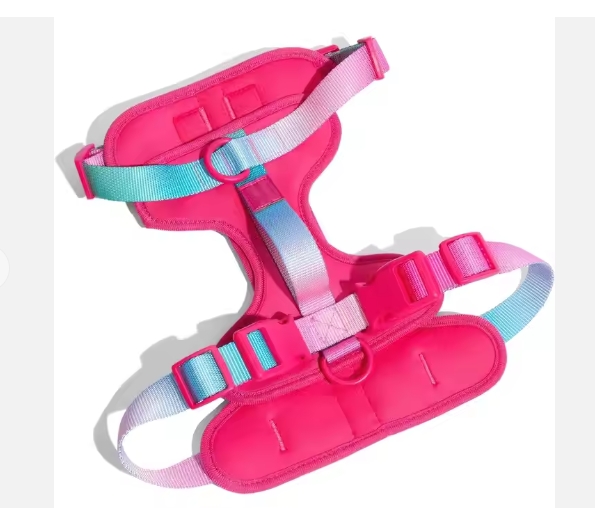 Cat harness