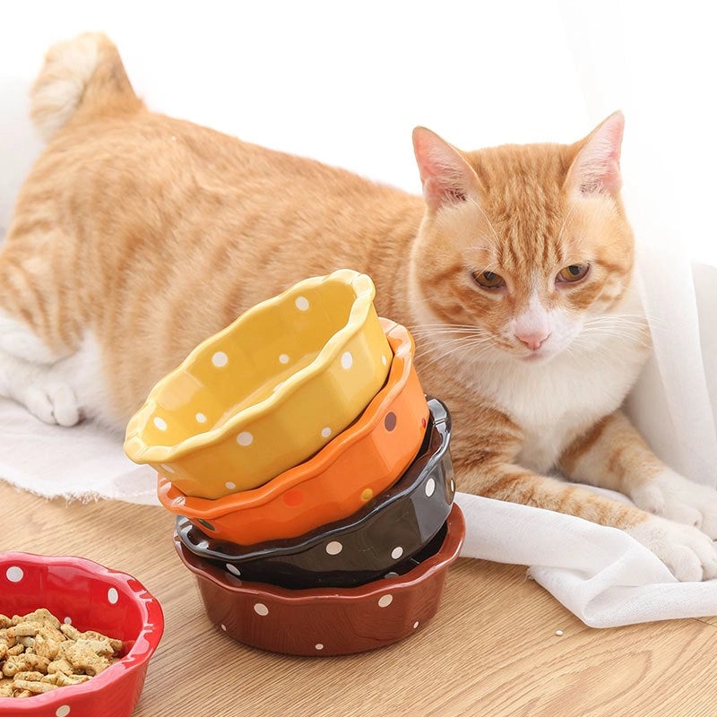 Ceramic Cat Bowl Stand Neck Protection Anti-black Chin Feeding Bowl Small Dog Teddy Inclined Cat Food Supplies