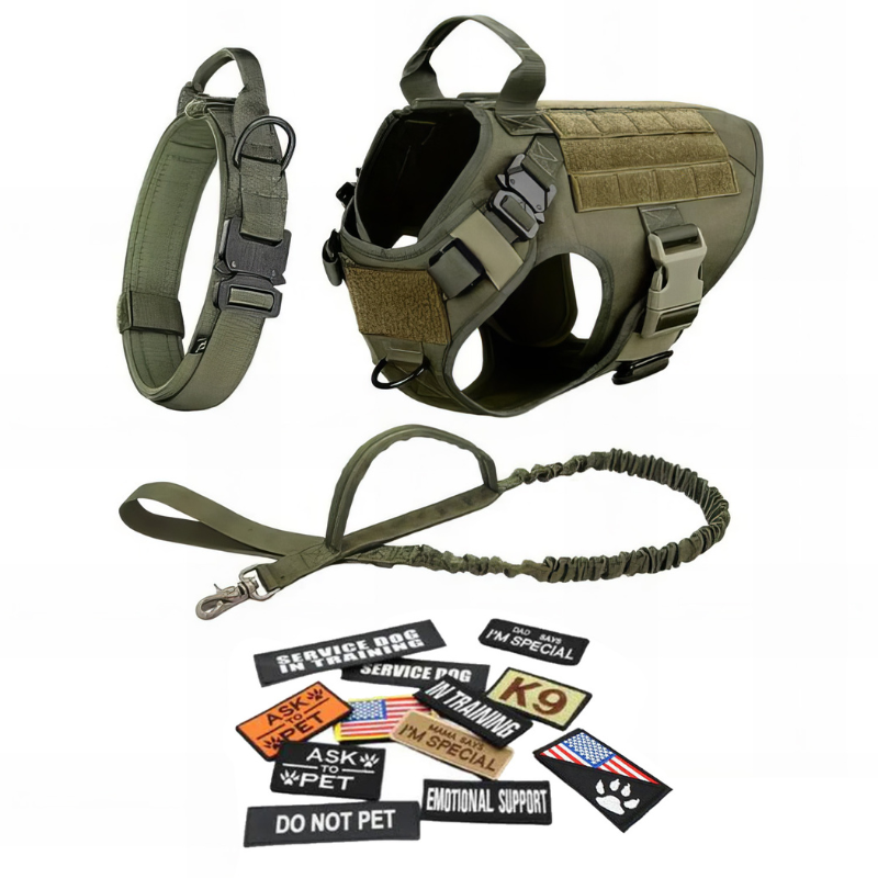 Vibrant Design Dog Harness With Accessories